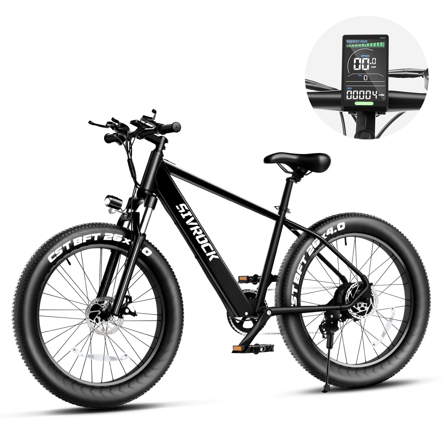 Professional Electric Bike