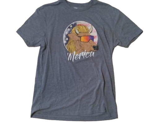 America Graphic T-Shirt